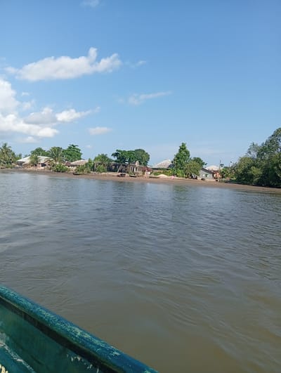 The image shows a waterfront scene in Samanga, Nigeria. A body of water, possibly a river, takes up the majority of the frame, with gentle ripples on the surface. The foreground includes a section of a green boat, likely the one from which the picture was taken.

Across the water, a shoreline is visible, lined with a mix of vegetation including palm trees and other leafy trees. Interspersed among the trees are buildings, varying in style and condition, suggesting a small settlement or village. Some of the buildings appear to be in disrepair, possibly even ruined.

The sky is blue with scattered cumulus clouds, indicating a relatively clear day.