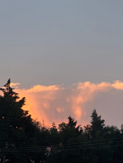 The image depicts a sky at twilight or sunset. On the left, the sky is a pale gray-blue. On the right, the sky transitions into orange and pink hues, indicative of the setting sun. Tree foliage is silhouetted in the lower and right portions of the image, and some power lines are visible through the trees on the right. This scene may be in Chipilo de Francisco Javier Mina (Chipilo), Mexico.