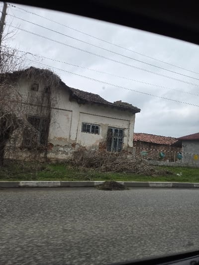 The image displays a static street scene in Asenovo, Bulgaria, under an overcast sky. In the immediate foreground, a dark asphalt road surface, appearing textured, leads to a curb painted with white and grey/black stripes. On the grassy verge immediately behind the curb, a small, dark mound of organic debris, likely dried vegetation, is present.
The midground is dominated by a dilapidated, single-story building constructed with light-colored plaster or stucco walls. The facade exhibits significant peeling paint and exposed underlying material. The building features a multi-pane tiled roof, with visible damage or disrepair along the eaves. Bare, leafless vines or branches extensively cover the left side of the building and its roofline. Multiple windows are visible: a larger, dark opening on the far left, a central rectangular window with multiple panes, and a taller, multi-pane window towards the right. To the right of this primary structure, a portion of another building with a reddish-brown tiled roof is partially visible. Further right, behind the grassy area, a fence or barrier is present, from which several blue and yellow plastic objects appear to be suspended.
The background consists of a uniform grey, overcast sky. Multiple thin, dark utility lines stretch horizontally across the upper portion of the frame. On the far left, a bare, deciduous tree with numerous branches is visible. No people are present, and no overt actions or interactions are depicted within the scene.
