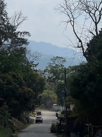 The image depicts a view along a road in what appears to be a mountainous area near San Francisco de Yojoa, Honduras. A road curves to the right, with a dark-colored vehicle moving uphill on the right side. The surrounding area is heavily forested, with trees lining both sides of the road. Mountains are visible in the distance, appearing hazy. Power lines are visible above the road. The sky is overcast, contributing to the overall dim lighting of the scene. Debris piles on the side of the road.