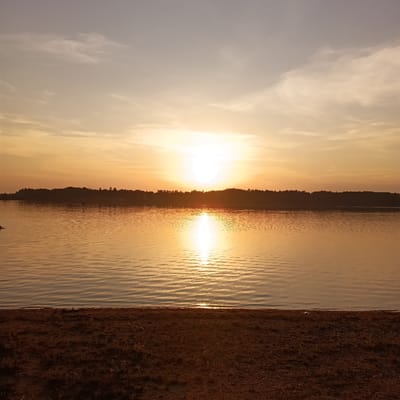 The image depicts a serene sunset over a body of water, likely a lake or wide river, with a silhouetted treeline and scattered structures along the distant bank. The sky is a gradient of soft oranges and yellows, transitioning to a pale gray at the top, with wispy clouds catching the last rays of the sun. The sun itself is a bright, diffused disc near the horizon, casting a shimmering reflection across the rippled surface of the water. The foreground consists of a dark, sandy or earthy shoreline with sparse vegetation. In the water, a faint reflection of the treeline and structures is visible, along with a few small ripples. The overall atmosphere is peaceful and tranquil. Given the description, this scene could potentially be located on the shores of Lake Jesenice, a reservoir in the Czech Republic.