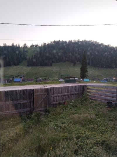 This media file depicts a rural scene in Brish, Russia. The foreground is dominated by a weathered wooden fence, with a gate visible on the left. Beyond the fence, lush green grass and vegetation grow, with some plants appearing wild and untamed. In the middle ground, a dirt road or path winds through the landscape, separating the fenced area from a small cluster of buildings. These structures appear to be houses or outbuildings, some with colorful roofs, suggesting a residential area. A tall, slender evergreen tree stands out amidst the buildings, adding a vertical element to the composition. In the background, a densely forested hill rises, covered in dark green trees. The sky is overcast and pale, indicating a possibly cloudy day or early morning/late evening light. The overall atmosphere is serene and quiet, conveying a sense of rural tranquility. There is no visible text within the media file. The time of day appears to be either dawn or dusk due to the soft lighting and muted colors. The location cues, such as the architecture of the buildings and the dense evergreen forests, are consistent with a setting in rural Russia.