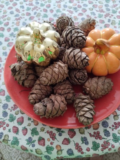 The image shows a close-up, high-angle view of a red plate filled with pine cones and two decorative pumpkins, set against a white tablecloth patterned with various berries and leaves. One pumpkin is gold and reflective, while the other is orange and matte. The pine cones are brown and appear to be of a relatively small size. The lighting suggests an indoor setting, possibly during the daytime, given the brightness and evenness of the illumination. There is no visible text or discernible activity. The scene is static, presenting a still-life arrangement of autumnal or decorative objects. The background pattern on the tablecloth is vibrant and features stylized representations of strawberries, blueberries, currants, and green leaves, creating a festive and seasonal visual context.