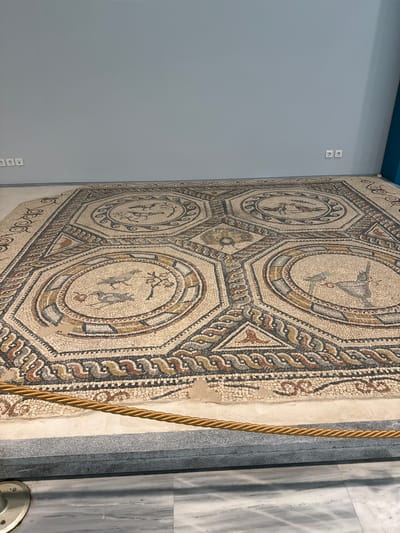 The image shows a large, ancient mosaic floor on display indoors, likely in a museum. The mosaic is octagonal in shape and features several circular medallions containing depictions of birds. The surrounding geometric patterns are intricate and display a variety of colors, including beige, brown, black, gray, and red. The mosaic is laid out on a flat surface, and a golden rope barrier is positioned in front of it, separating it from the viewer. In the background, a light gray wall with several electrical outlets is visible. The floor in front of the mosaic is a polished marble or stone. This mosaic is located in the Heraklion Archaeological Museum in Heraklion, Greece, and is a significant artifact from Roman times.