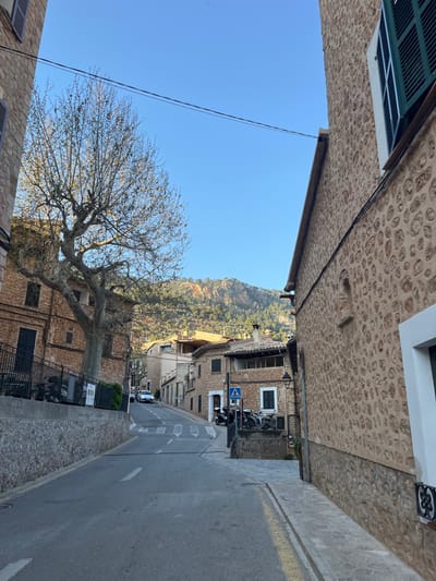 The image displays an uphill street in Fornalutx, Spain, under a clear, bright blue sky. On the left, a mature deciduous tree with bare branches stands prominently in the midground, fronting a multi-story building constructed of light-brown stone with dark green shutters and black metal railings. A stone retaining wall lines the left side of the asphalt road. A white car is partially visible driving uphill in the distance on the left. On the right, a large building with a textured stone facade features a white-framed window with dark green louvered shutters. An electrical cable spans horizontally across the upper portion of the frame. The asphalt road, marked with white lines and directional arrows, curves gently uphill. A narrow concrete sidewalk with a yellow curb marking runs along the right side. Further along the right, a pedestrian crossing sign is visible, and multiple scooters/motorcycles are parked on a raised stone platform. The background features tree-covered mountains under natural daylight. No individuals are present in the scene.