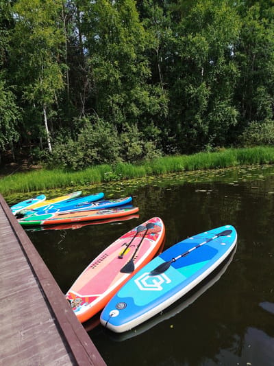 This is a medium shot, eye-level, outdoor photograph taken on a sunny day. The image depicts a body of dark, calm water, likely a river or lake, bordered by dense green trees and vegetation. Several paddleboards are lined up along a wooden dock in the foreground, suggesting a recreational area or rental facility. The paddleboards are colorful and of varying designs, with paddles resting on them. The water's surface is partially covered with lily pads, indicating a natural setting. The overall impression is one of a peaceful, natural environment suitable for water sports, potentially in the city of Vylytdor, Russia, given the context. There are no people visible in the image.
