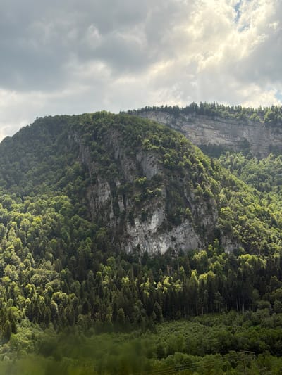 The media file captures a vertical, sun-drenched view of a lush, forested mountainside in Les Neyrolles, France. The scene is dominated by the imposing, rocky cliff face, partially obscured by a dense canopy of vibrant green trees. Sunlight filters through the foliage, creating highlights and shadows that add depth and texture to the dense forest.

On the left side of the frame, a dramatic, overcast sky with visible clouds fills a significant portion of the image. The clouds are white and grey, suggesting a diffused light rather than direct, harsh sunlight.

The base of the mountain and the foreground are shrouded in a soft, green blur, possibly indicating a water body or fog, adding to the atmospheric quality of the image. A solitary utility pole with wires is visible on the right side of the frame, hinting at human presence in this natural landscape.

The overall mood is serene and majestic, highlighting the raw beauty of nature. The time of day appears to be late afternoon or early evening, judging by the quality of light and the interplay of shadows. There is no visible text in the media file.