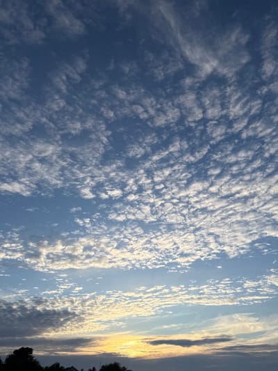 The image depicts a wide-angle view of a sky over Rohuneeme, Estonia, at what appears to be sunset or sunrise. The sky is predominantly blue, with scattered clouds. The clouds are varied, with some appearing as thin, wispy streaks, while others are more textured and rounded, forming patterns across the sky. Near the horizon, there is a band of warm-colored light, suggesting the sun is low, casting hues of yellow and orange. Below the sky, a dark silhouette of trees and vegetation is visible along the horizon, with a hint of a building in the lower center. The overall scene is natural and serene, with no people or specific actions evident. The environment is outdoors, with a focus on the atmospheric conditions of the sky.