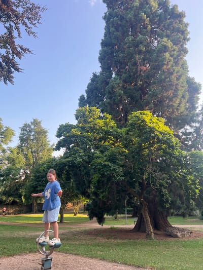 A young Caucasian girl with blonde hair pulled back in a ponytail, wearing a blue t-shirt and light blue denim shorts, stands on a metal spinning toy in a park. She is balanced on two white crocs-style shoes. The girl is smiling and her arms are outstretched. In the background, there are several large trees, including a very tall conifer on the right and a large deciduous tree in the center with bright green leaves. The park has a grassy area, a gravel path, and a stone wall visible in the distance. The sky is clear and blue. This image was taken in the Stadtpark Wassenberg, Germany.