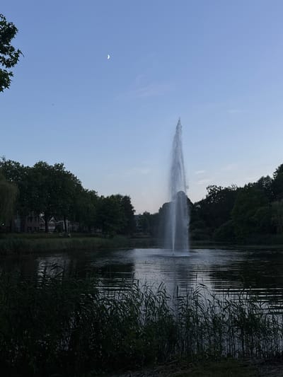 The image depicts a serene evening scene in the city of Deventer, Netherlands, likely at a park or recreational area. Dominating the center of the frame is a tall water fountain in a calm body of water, with its spray reaching high into the pale blue sky. The sky itself is a gradient of light blue at the top, transitioning to a lighter hue near the horizon, and features a small, crescent moon. Along the banks of the water, dense green foliage and reeds are visible, obscuring much of the ground level. In the mid-ground, on the far side of the water, a row of mature trees with dark green leaves forms a backdrop. Behind the trees, several buildings with pitched roofs, characteristic of Dutch architecture, are partially visible, suggesting a residential or urban fringe setting. Two indistinct human figures can be seen near the trees on the far bank. The overall impression is one of tranquility and natural beauty, amplified by the soft evening light.