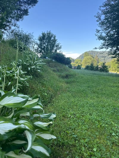 A low-angle, outdoor, full shot captures a lush, green landscape under a clear blue sky. In the foreground, the variegated leaves of hosta plants with white and green markings fill the lower left quadrant of the image. Behind them, a gently sloping grassy hill rises, dotted with small wildflowers and clumps of taller grass. Further back, a line of trees forms a natural border, with a larger, tree-covered mountain range visible in the distance. The scene appears to be a residential garden or a park area. There are no people or animals visible in the frame. The lighting suggests it is daytime, likely morning or late afternoon due to the soft, even illumination. The overall impression is one of natural beauty and tranquility. The location is identified as Kebezen, Russia.