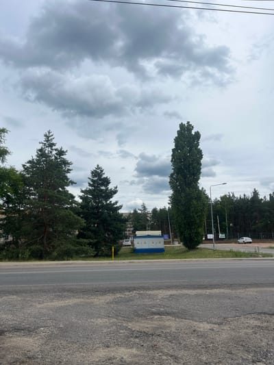 The image depicts a roadside scene on a cloudy day, with a focus on a power substation and surrounding trees. In the foreground, a two-lane asphalt road is visible, showing some wear and tear. Beyond the road, a strip of grass and a few yellow markers precede a low-rise blue and white substation, marked with warning symbols. To the left of the substation, a tall, slender deciduous tree stands out, while to the right, a dense line of coniferous trees forms the background. A white sedan is parked to the right of the substation, and another white car is seen further down the road. Power lines stretch across the upper portion of the frame. The environment appears to be on the outskirts of a populated area, possibly near an industrial zone or a residential development, given the presence of the substation and the mix of natural and man-made elements. The overcast sky suggests a potentially cool or damp day. The location is identified as Malyshevo, Russia.