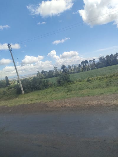 The image shows a rural scene in Kibirichia Ward, Kenya. A paved road occupies the foreground, transitioning to a dirt shoulder. Beyond the shoulder, a grassy slope leads to a cultivated field, possibly of crops, stretching into the distance. A line of trees marks the field's edge, with distant hills faintly visible in the background. A utility pole stands prominently on the left, carrying power lines that extend across the frame. The sky is blue with scattered white clouds. No people are visible.