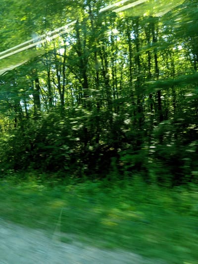 A side view of a forest is captured from a moving vehicle, likely a car, on a sunny day. The lush green foliage of the trees and undergrowth is blurred due to motion, creating streaks of light and shadow. Sunbeams pierce through the canopy, illuminating the dense forest. In the foreground, a blurred green grassy embankment slopes downwards, transitioning to a lighter, possibly gravel or dirt, path on the lower left. The image conveys a sense of speed and immersion in nature. The location in the city of Giaginskaya, Russia, suggests a rural or suburban setting with abundant natural landscapes.