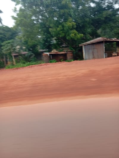 The image captures a roadside scene in Imilike, Nigeria, dominated by a dusty, reddish-brown dirt road in the foreground, angled from the lower left to the upper right. Beyond the road, lush green trees form a dense backdrop, interspersed with glimpses of sky. In the mid-ground, several rustic structures are visible. One prominent structure is a small, weathered wooden shack with a corrugated metal roof, appearing to be partially open on one side, revealing a glimpse of what might be a wooden chair inside. To the left of this shack, another smaller, partially obscured structure made of wood and possibly brick is present. The ground around these structures is uneven and covered in vegetation, with some of the reddish dirt visible. The overall impression is of a rural or semi-rural setting, possibly on the outskirts of a settlement, with the natural landscape and simple human dwellings coexisting.