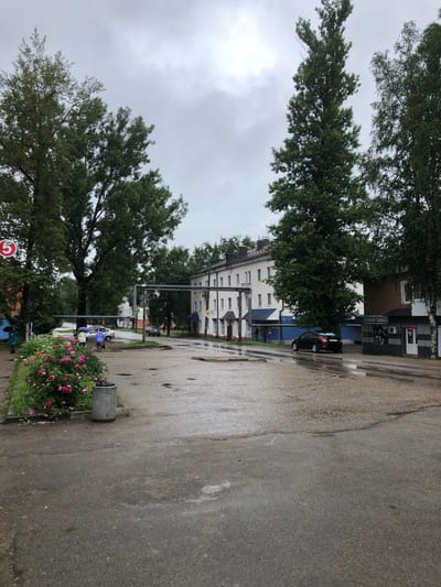 The image depicts an overcast day in Safonovo, Russia, with wet asphalt suggesting recent rain. In the foreground, a cluster of pink roses blooms beside a gray concrete trash receptacle. Beyond the flowers, a paved area with puddles stretches towards buildings. On the left side of the road, a red circular sign with a white number "5" is visible. Two individuals are walking under umbrellas on a sidewalk. A silver car and a black sedan are parked on the wet street. In the background, a multi-story white building with blue accents lines the street, and a darker building with a sign that appears to read "Пивная Лавка" (Beer Shop) is on the right. Tall trees with green foliage are present throughout the scene.