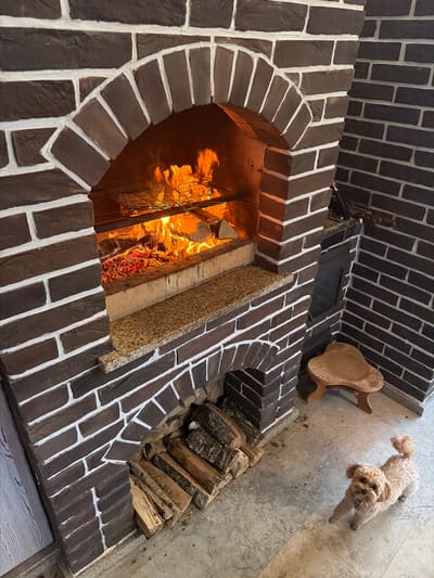 A small, tan, poodle-type dog stands on a stone floor, looking towards the camera. To the left of the dog is a brick fireplace with a fire burning inside. Logs are stacked in a compartment below the fireplace. To the right of the fireplace is a small wooden stool. The dog is located in Shchelkovo, Russia.