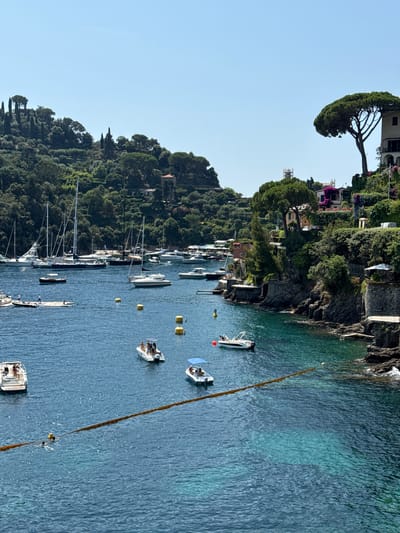 This is a vertical, medium-distance, eye-level shot of a cove in Portofino, Italy, on a clear, sunny day. The water is a deep, clear blue, with lighter turquoise hues visible closer to the rocky shore, indicating shallow depths. The cove is lined with lush green hillsides dotted with trees and houses.
In the foreground, a thick, brown rope or boom lies on the water's surface, marking a boundary. Two individuals are swimming in the water to the left of the boom. A small, white motorboat with two people is moored to the left, with another small white boat with a blue canopy and three people further out. To the right of the boom, a white motorboat with three people is moving away from the shore.
Further into the cove, a cluster of sailboats and motor yachts are anchored, with their masts reaching towards the clear blue sky. A small wooden platform with several people standing on it is in the middle ground. The rocky shoreline is covered in dense greenery, with elegant houses and villas built into the hillside. A prominent, umbrella-shaped pine tree stands tall on the right side of the frame, overlooking the water. The scene depicts a picturesque Mediterranean coastal landscape, typical of Portofino.