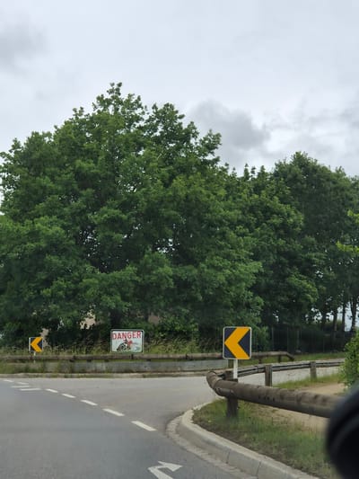 The image, presented in portrait orientation but depicting a landscape scene rotated 90 degrees clockwise, captures a roadside view on a cloudy day in Reckange-sur-Mess, Luxembourg.
The scene features a paved road on the right side, marked with dashed white lines, suggesting a lane division. The road appears to curve gently towards the right in the distance. Running parallel to the road on its left edge is a robust barrier, seemingly constructed from dark, horizontally stacked logs or beams, separating the roadway from the surrounding vegetation.
Along this barrier, three distinct signs are visible. Closer to the foreground is a black square sign featuring a bright yellow downward-pointing chevron, typically used to indicate a sharp curve or an obstruction ahead. Further down the road, another identical chevron sign is visible. Positioned between these two chevron signs is a rectangular white sign with a prominent red border. The top of this sign clearly displays the word "DANGER" in red capital letters. Below the text, there is an illustration of a stylized figure riding a dirt bike or motorcycle, depicted mid-air as if performing a jump or stunt, suggesting a warning related to off-road vehicle activity or a hazard for motorcyclists.
To the left of the barrier, and filling a significant portion of the frame, is a dense expanse of lush green trees, likely deciduous, with their foliage forming a thick canopy that extends into the background. The sky above is entirely overcast with soft grey clouds, indicating cloudy weather and a generally dull daytime ambiance. No people are visible in the image.