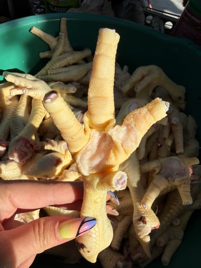 A close-up shot depicts a hand holding a raw chicken foot over a green container filled with more chicken feet. The hand has long nails with a yellow-to-purple gradient color design. The chicken feet are pale yellow and appear to be freshly butchered. The scene is brightly lit, suggesting it is outdoors in daylight. There are no other discernible people, objects, or environmental details to pinpoint the location, other than "CLASSIC" is partially visible on an object to the left of the image. The absence of specific landmarks precludes confirming the location as Bratia Kunchevi, Bulgaria.