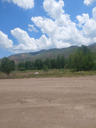 The image depicts a rural landscape in Getap, Armenia, on a clear day with a bright blue sky partially covered by large, white cumulus clouds. A range of mountains, exhibiting a mix of green and arid brown slopes, extends across the mid-ground. At the base of these mountains, a line of tall, slender green trees forms a distinct band, bordering an open, vegetated field. Scattered smaller trees and bushes are visible throughout the mid-ground. The immediate foreground is dominated by a wide, unpaved dirt road, light brown in color, with visible gravel and minor surface irregularities. A small pile of cut branches or brushwood lies near the edge of the road, and a single, unidentifiable white object is present on the ground. No human figures or discernible structures are visible.
