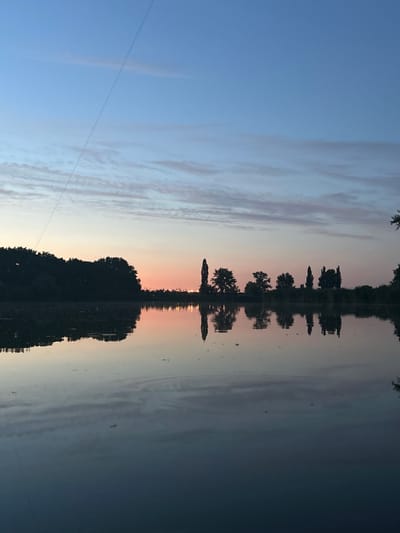 The image depicts a serene sunset reflected on the still water of a body of water, likely a river or lake, in Platnirovskaya, Russia. The sky transitions from a clear, pale blue on the left to soft hues of pink and orange near the horizon, suggesting the golden hour. Wispy clouds are visible, adding texture to the sky.

The dominant subject is the reflection of trees lining the far bank, silhouetted against the sunset. Their dark, irregular shapes create a striking mirror image on the water's surface. The reflection is so clear that it creates an almost symmetrical composition, with the water acting as a natural frame. The reflection of the trees is also interspersed with small, dark specks that could be insects or small disturbances on the water's surface.

A thin, dark line stretches diagonally across the sky on the left side of the image, likely a power line or cable, indicating the presence of human infrastructure in the otherwise natural landscape. The overall mood is tranquil and peaceful, capturing the quiet beauty of a sunset in a rural setting. The time of day is clearly evening, as indicated by the sunset colors and the deepening shadows. No people or specific events are visible. There is no visible text in the image.