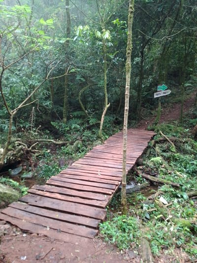 The image depicts a wooden bridge crossing a small stream in a forest. The bridge is constructed of wooden planks and appears somewhat rustic. Lush green vegetation covers the surrounding area, with various trees, ferns, and other plants visible. A sign with a green arrow points to "Punta Piro Y". The image appears to be taken in a humid environment, possibly a rainforest or cloud forest. The location is Villarrica, Paraguay.