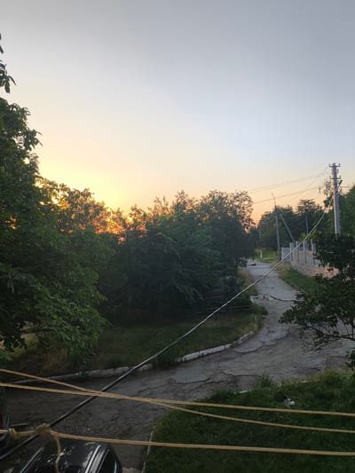 This image depicts a sunset scene in Maximovca, Moldova, focusing on a semi-paved road winding through a residential area. The sky is a gradient of pale yellow and orange near the horizon, transitioning to a clear, light gray at the top. Lush green trees with dense foliage line both sides of the road, with some sunlight filtering through the leaves, creating highlights and shadows.
The road surface is a mix of cracked asphalt and dirt, showing signs of wear. To the right of the road, a low-rise concrete block wall is under construction, with some sections completed and others left unfinished. A utility pole with multiple wires stretches across the scene, with several birds perched on top.
In the foreground, to the left, a dark-colored car is partially visible, along with thick cables or ropes strung across the frame at different heights. On the grassy verge beside the road, two dogs are present. One is lying down near the center of the road, and another is resting in the tall grass to the right. The overall impression is of a quiet, rural evening in a village setting.