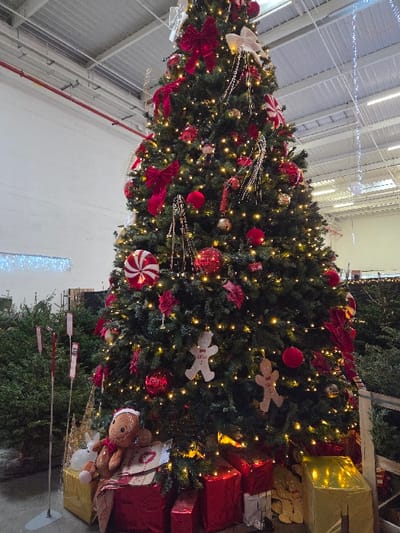 The image displays a large, decorated Christmas tree situated indoors, likely within a retail establishment such as a garden center or large store, in Blainville-sur-Orne, France. The tree is densely covered with warm white string lights, red and white bows, red and gold spherical ornaments, striped candy cane ornaments, and white gingerbread man cut-out ornaments. At the base of the tree, several wrapped gift boxes are visible, predominantly in red and gold metallic paper. A large, plush gingerbread man figure with a red scarf is seated on a golden gift box, partially covered by a red patterned cloth, next to a small white figure resembling a rabbit. In the background to the left, multiple smaller, undecorated Christmas trees stand, with price display poles nearby. To the right, additional trees are partially visible. The overhead environment features a white, industrial-style ribbed ceiling with exposed red piping and decorative string lights hanging down. No individuals are present in the frame.