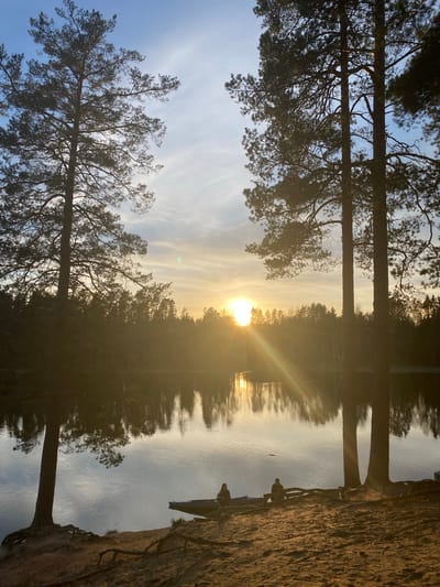 This image captures a serene natural landscape, likely a lake or river in Vyritsa, Russia, during either sunrise or sunset. The sun, a brilliant orb of golden light, is positioned low on the horizon, casting a strong glare and reflection across the calm water. The sky above transitions from a soft blue to lighter hues, adorned with delicate, wispy clouds illuminated by the warm sunlight.

Tall pine trees, rendered in silhouette against the bright sky, frame the composition. In the foreground, two prominent tree trunks stand on the left, their dark branches and needles reaching out. A dense line of similar trees forms the distant shoreline, their details softened by the atmospheric conditions. On the right side of the image, a sandy or earthy bank gently slopes down to the water's edge. Two human figures are discernible in silhouette on this bank; one appears to be seated, while the other stands or kneels, both seemingly observing the tranquil scene or engaging in a quiet activity. A small boat or canoe is partially visible, beached near the right bank. The water's surface is smooth, providing clear reflections of the sky and the sun's radiant glow. The overall atmosphere conveys a sense of peaceful beauty and calm contemplation during the golden hour. There is no visible text in the image.