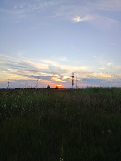 A wide shot captures a rural landscape at sunset, likely in the outskirts of Krutiye Vyselki, Russia. The sky is painted with soft hues of blue, pink, and orange from the setting sun, which is partially obscured by clouds and a distant tree. Thin, wispy clouds stretch across the sky, some appearing as faint streaks. Power lines are strung across the upper half of the frame, supported by tall, lattice-like electrical towers that punctuate the horizon.
In the foreground, a field of tall, dark green grass and vegetation stretches across the image, creating a natural, untamed foreground. The grass is dense and appears slightly out of focus, adding to the sense of depth. The overall impression is one of peaceful solitude and the beauty of a natural environment touched by human infrastructure.