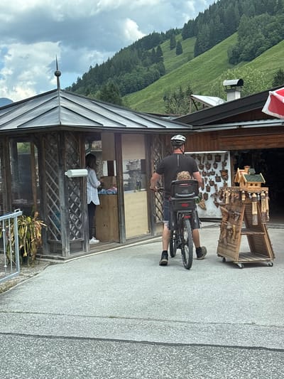 In Bruck an der Großglocknerstraße, Austria, a man wearing a black t-shirt, shorts, a white helmet, and black shoes is riding a bicycle. A young child is seated in a child seat attached to the rear of the bicycle. They are on a paved surface in front of a wooden structure that appears to be a shop or kiosk, with wooden lattice work and glass panes. Inside the structure, a woman wearing a white striped shirt and dark pants is standing. A display rack of wooden carvings and a small birdhouse are situated to the right of the bicycle. In the background, a lush green hillside with scattered trees rises under a cloudy sky.