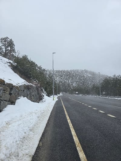 The image depicts a winter scene on a snow-dusted road in the city of Real Sitio de San Ildefonso, Spain, under an overcast sky. The asphalt road, running from the foreground into the background and curving slightly to the right, features a solid yellow line delineating its left edge and white dashed lines indicating additional lanes to the right. The road surface appears clear of snow and wet. To the immediate left of the road, a substantial bank of churned snow lines the roadside, abutting a grey stone retaining wall that runs parallel to the road. Beyond this wall, a steep, snow-covered slope rises, sparsely populated with tall evergreen trees. Further into the background, a dense forest of evergreen trees, also dusted with snow, covers the hillsides on both sides of the road. Multiple tall, slender grey streetlights with luminaires are spaced along the left side of the road, extending upwards into the uniformly light grey sky. Small white flecks are visible in the air, consistent with falling snow. No people, vehicles, or animals are present in the visible scene.