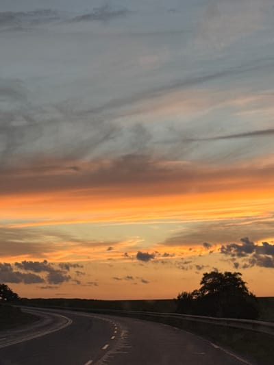 A curved asphalt road stretches into the distance, bordered by a low metal guardrail on the right and sparse vegetation on the left. The road has visible white dashed lines. The sky above is a canvas of sunset colors, with streaks of grey and light blue clouds gradually transitioning to vibrant oranges and yellows near the horizon. Silhouetted against the colorful sky are distant trees on the right side of the frame and a lone tree on the left. The overall impression is of a rural landscape at dusk. There are no people or animals present in the image.