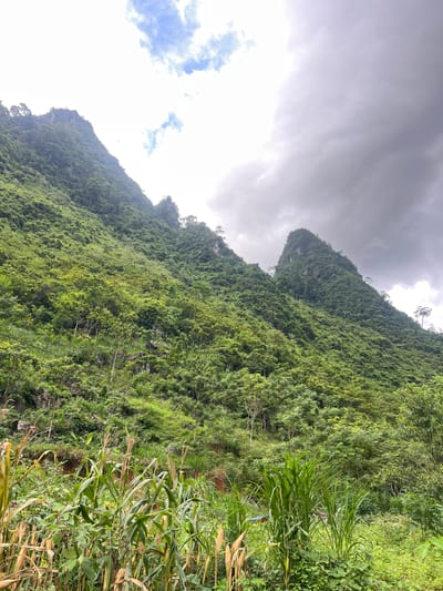 The image shows a mountainous landscape in Cán Tỷ Commune, Vietnam. The foreground features lush green vegetation, including corn stalks and tall grasses, suggesting a rural or agricultural setting. The midground and background are dominated by steep, densely forested mountains. The slopes are covered in a variety of green trees, with some rocky outcrops visible. The sky is partially cloudy, with a mix of bright sunlight and dark, heavy clouds. The overall impression is one of natural beauty and a somewhat remote, possibly tropical environment. There are no people or specific structures visible to indicate an urban environment.