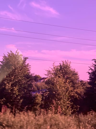 The image depicts a scene dominated by a vibrant purple sky with wispy pink clouds, suggesting either a sunset or sunrise. Several power lines run diagonally across the frame, dividing the sky from the earthly elements. On the right side of the image, dense foliage of trees fills the frame, with some greenery appearing in a muted, brownish hue due to the lighting or processing.

In the background, glimpses of a building or structures can be seen peeking through the trees, hinting at a residential or semi-urban setting. The overall impression is one of a slightly stylized or filtered natural landscape. There are no visible people or specific activities taking place. The time of day is implied by the sky's color, and the weather appears clear with the presence of clouds. The location context provided is Zavalishchi, Russia. No visible text is present in the image. The image's orientation is rotated 90 degrees counter-clockwise.