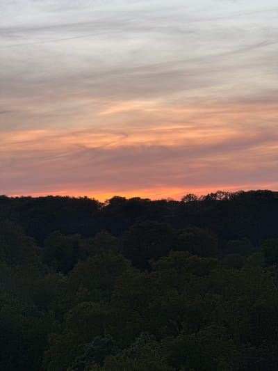 The image depicts a serene natural landscape, likely captured during a sunset or sunrise in Bures-sur-Yvette, France. The scene is bisected horizontally, with the upper portion dominated by a vast sky and the lower portion by a dense line of trees.
The sky features a striking gradient of colors. In the upper-left, the clouds are a soft, pale grey and white, suggesting higher altitude or less direct sunlight. As the eye moves towards the horizon and the right side of the image, the clouds glow with warm hues of peach, soft orange, and delicate pink, indicating the sun's low position. These clouds are wispy and elongated, stretching across the sky with a painterly quality.
Below the colorful sky, a dark, thick line of trees forms the horizon. These trees are heavily silhouetted against the bright light, appearing as a deep green-black mass. Hints of individual tree shapes and the texture of foliage are discernible, particularly along the canopy line where the trees meet the illuminated sky. The dense forest suggests a natural, undeveloped setting.
The overall impression is one of tranquility and natural beauty, characteristic of either dawn or dusk. There is no visible text in the image.