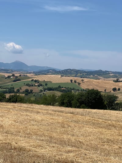 The image depicts a panoramic view of the Italian countryside, specifically the region around Barbara, Italy, on a clear, sunny day. In the foreground, a field of dry, golden straw stretches across the frame, suggesting a harvested crop. This is followed by rolling hills covered in a patchwork of green fields and lighter brown fields, some of which show signs of recent harvesting with linear patterns of stubble.
Scattered throughout the landscape are clusters of trees, their dark green foliage contrasting with the lighter hues of the fields. Several houses, with red-tiled roofs, are visible nestled among the hills and trees. In the distance, a majestic mountain range forms the backdrop, its peaks softly outlined against the pale blue sky. A single, fluffy white cloud drifts in the upper left portion of the sky. The overall impression is one of a serene, rural landscape, bathed in the warm light of a summer day.