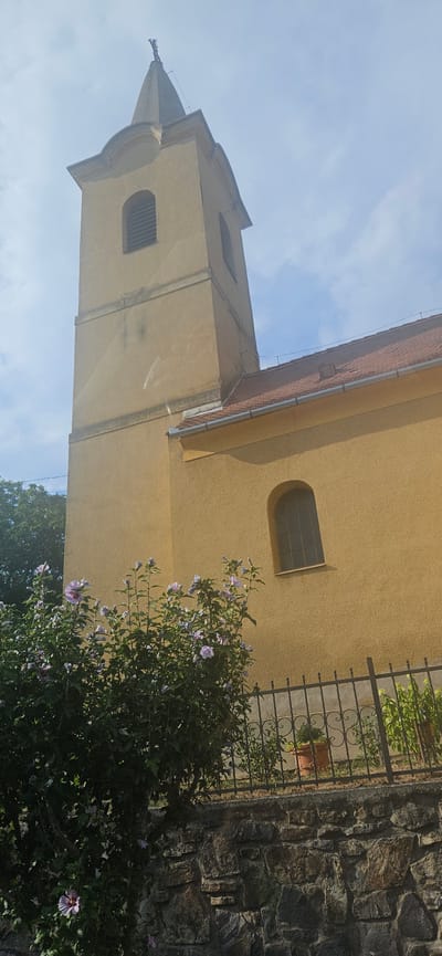 The image shows a yellow church tower and a section of the church building with a tiled roof. The tower has a pointed spire with a cross at its apex, and a small arched window with louvers. Below this, there is a decorative band and another window opening. A small, arched window with a grid is visible on the side of the church. In the foreground, a lush green bush with purple flowers is in bloom, extending over a stone wall and a black wrought-iron fence. Potted plants are visible behind the fence. The sky is partly cloudy. The scene is located in Kisgörbő, Hungary.