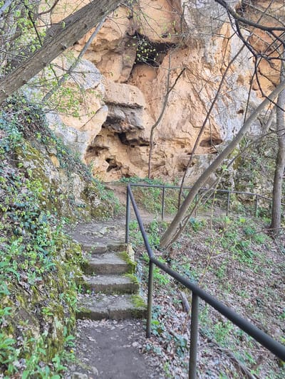 The image shows a view from above onto a rocky slope with a small cave or opening on the left side. The rocks are light brown in color. Trees and branches are present throughout the scene. To the right of the rocks, a metal ladder runs down the slope. Further to the right, there is a path with concrete steps and metal handrails. The area is covered with greenery, including moss and small plants. The location is possibly near the city of Ivanovo, Bulgaria.
