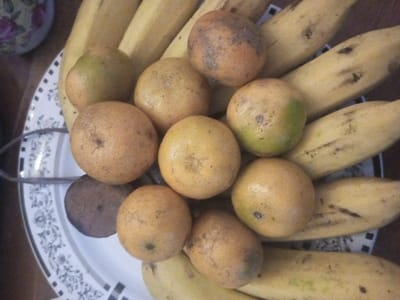 The image displays a static overhead view of a fruit arrangement within a decorative bowl, located in Karaikudi, India. The primary subjects are approximately 10-12 yellow bananas, many exhibiting longitudinal dark brown streaks and blemishes, forming the base layer. Resting upon the bananas are 10-11 round citrus fruits, consistent with oranges or sweet limes, predominantly yellowish-orange in color. Several of these citrus fruits show localized green patches, brown spots, or areas of duller, textured skin. A darker, possibly discolored or shadowed, fruit or fruit slice is partially visible near the bottom left among the citrus fruits. The container is a white ceramic or porcelain bowl featuring an elaborate black and grey floral or scrollwork pattern around its rim. A silver-colored metallic handle is partially visible extending from the left side of the bowl. In the upper left background, a fragment of a white ceramic object adorned with a pink rose and green leaf motif is present. No people are visible, and no actions or interactions are occurring.