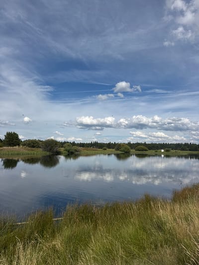 The image depicts a tranquil natural environment in Sunriver, United States, centered on a calm body of water, likely a lake or pond, under a partly cloudy sky. The foreground features dense, unmaintained riparian grasses in varying shades of green and brown. The water surface, a dark blue-gray, clearly reflects the overhead sky and clouds, with minimal ripples. The far bank of the water body is lined with a diverse array of vegetation, including dark coniferous trees, lighter green deciduous shrubs and trees, and lighter-colored grasses closer to the water's edge. A small, white, rectangular object or structure is visible on the far bank, partially obscured by foliage. The sky above is light blue with a mix of wispy cirrus clouds and larger, fluffy cumulus clouds. Two distinct, horizontal white contrails are visible in the upper portion of the sky. Two small, dark, indistinct shapes, possibly birds or insects, are present in flight in the upper-left and upper-right sky. No human subjects or human-made structures, other than the distant white object and contrails, are discernible.