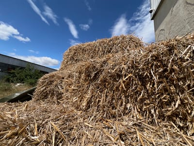 A large, loosely packed mound of dry, golden straw bales is situated outdoors, with a clear blue sky dotted with wispy white clouds overhead. To the left, a corrugated metal building with some visible windows and greenery is present. To the right, a portion of a plain, light-colored building is visible, featuring a security camera mounted near the top corner. The straw is the dominant subject, occupying the foreground and midground of the image. The scene appears to be in an agricultural or industrial setting, possibly within the city of Lanžhot, Czechia. There are no people visible in the image.