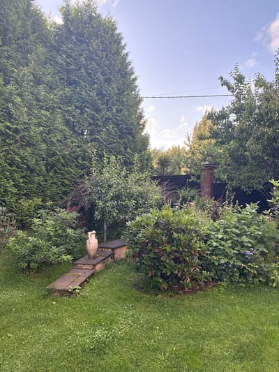 The image shows a lush, green backyard in Yukki, Russia, bathed in the soft light of a late afternoon or early evening. Towering evergreen trees form a dense backdrop on the left side, while a variety of bushes and smaller trees fill the middle and right portions of the frame. The ground is covered in a well-maintained, short green lawn, interspersed with clover.
In the mid-ground, a decorative stone pathway with two steps leads up to a small landing. On this landing rests a light-colored, amphora-shaped vase, adding a touch of classical artistry to the garden. Adjacent to the pathway, a large, leafy rhododendron bush dominates the scene, its dark green leaves providing a rich contrast to the surrounding foliage. To its right, smaller plants with delicate purple flowers are visible.
Further back, a dark wooden fence serves as a boundary, with a red brick chimney or pillar peeking out from behind the greenery. The sky above is a clear, pale blue with a few wispy white clouds, and a thin power line is stretched horizontally across the upper portion of the image. The overall impression is one of a serene and well-tended garden, offering a peaceful escape. There are no people or animals visible in the image, and no discernible actions are taking place.