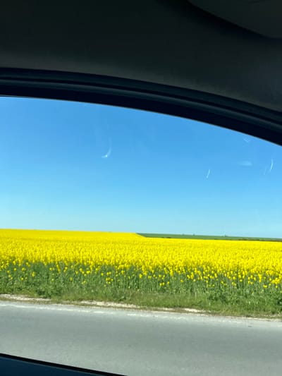 The image shows a view from inside a vehicle, likely a car, looking out the side window. The scene outside the window features a bright blue sky and a field of yellow flowers adjacent to a paved road. The vehicle's interior is visible in the foreground, with the car's frame partially obscuring the view. The location is unknown, but the prompt specifies that the location is in the city of Vaglen, Bulgaria. However, there is no way to confirm this from the image itself. There are no people visible in the image.