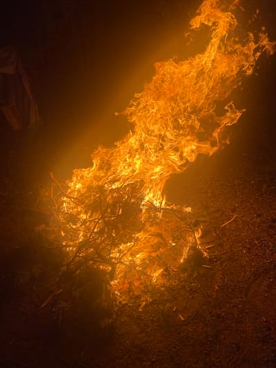 The image captures a bonfire at night on a dark, earthy surface, likely in Privetninskoe, Russia. The flames are vibrant orange and yellow, rising dynamically from a pile of dry branches and twigs. Some of the branches appear to be from pine trees, with needles visible. The fire illuminates the immediate surroundings with an intense orange glow, casting shadows and creating a smoky haze. The ground is covered in dark soil, interspersed with small pebbles and debris. To the far left of the frame, a dark, indistinct object, possibly a tarp or bag, is partially visible in the shadow. There are no people or animals clearly depicted in the scene. The overall atmosphere is one of intense heat and light against the darkness of night.