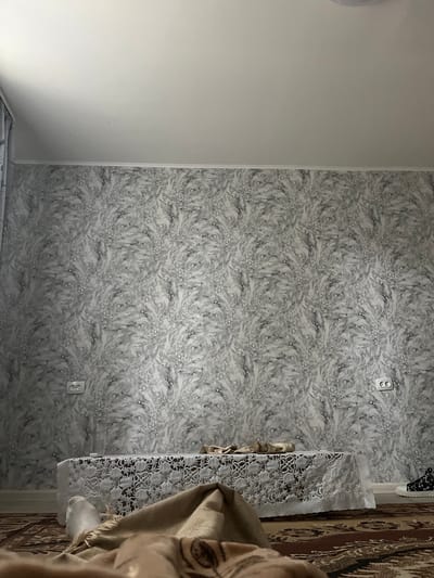 The image shows an interior view of a room, likely a living room or bedroom, with a focus on a patterned wallpapered wall. The wallpaper has a marble-like or abstract swirling pattern in shades of gray and white. Two white electrical outlets are visible on the wall.
In the foreground, a patterned rug covers the floor. A table draped with a white lace tablecloth is positioned in front of the wallpapered wall. On the table, there are several items, including what appears to be a glass and some folded fabric. A beige blanket or throw is in the immediate foreground, partially obscuring the bottom of the table and the rug. A foot, clad in a white sock, is visible emerging from under the blanket.
To the right of the table, a single black and white patterned sneaker is placed on the floor.
The scene appears to be indoors, likely in a residential setting. The lighting suggests it is daytime, but the light source is not directly visible. The overall impression is one of a lived-in space.
While the image itself does not provide specific clues to its exact location, the user's request specifies Bologoe, Russia. Therefore, assuming this context, the scene depicts an interior domestic space in Bologoe, Russia.
