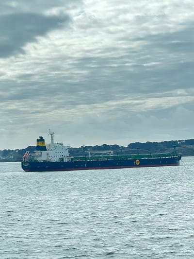 The image depicts a maritime scene featuring the commercial tanker vessel "BP WETHERSFIELD," homeported in London, positioned in the waters off Ploemeur, France. The vessel, painted dark blue with a red waterline, has its bow facing right, with a line or rope descending from it into the water. Its white superstructure is located towards the stern, topped by a yellow funnel with a black 'M' logo and a black upper section. A French flag is visible at the stern. Green and yellow piping and structures are visible along the vessel's deck, and a yellow circular logo containing a black 'M' is present on the hull's side mid-ship. The vessel rests on calm, rippled, grey-blue water. The background reveals a treelined coastline, predominantly green foliage, with several structures identified as houses partially visible among the trees. The sky is entirely overcast with dense, uniformly rippled grey clouds. No individuals are present in the scene.