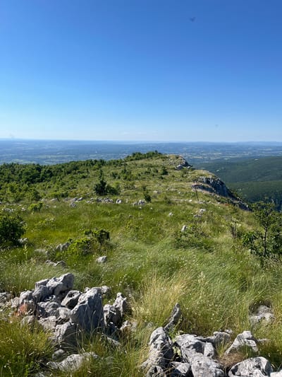 A wide, clear, blue sky dominates the upper portion of the image. Below the sky, a vast, undulating landscape unfolds under a bright, sunny day. The foreground is characterized by a rocky, grassy slope covered in sparse, light-colored rocks and tall, green grass interspersed with wildflowers. This slope leads to a ridge lined with more rocks and vegetation. Beyond the ridge, the terrain transitions into a densely forested area that stretches towards the horizon. In the distance, a hazy panorama of rolling hills and cultivated land is visible. A small, weathered wooden signpost is partially visible on the ridge. The overall scene depicts a natural, mountainous environment on a clear day.