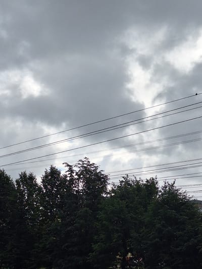 In Gorka-Pokrovskaya, Russia, an overcast sky with dark gray clouds dominates the upper portion of the image. Several parallel power lines are strung across the frame horizontally, with a single dark bird perched on one of the uppermost lines on the right side. The lower half of the image features a dense canopy of dark green trees, with hints of buildings visible through gaps in the foliage on the far right. The overall impression is a somewhat gloomy, urban or suburban landscape under a cloudy sky.